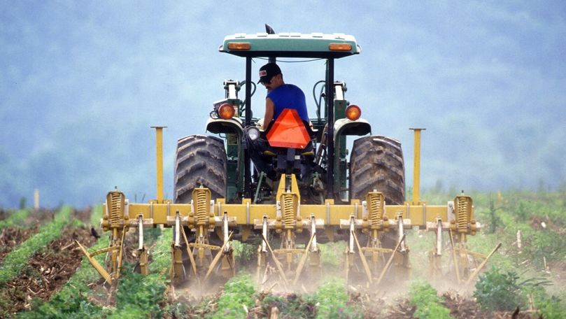Молодёжь сельскохозяйственного сектора может рассчитывать на финансирование.
