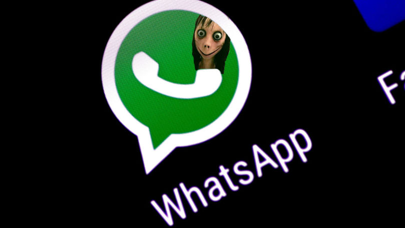 Ce vrea să fie Momo, noua nebunie de pe WhatsApp