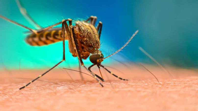 Un nou caz de deces provocat de malarie, înregistrat în R. Moldova