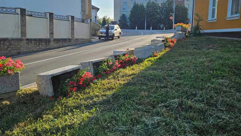 Vandalism la Hâncești: Mai multe ghivece cu flori, distruse intenționat
