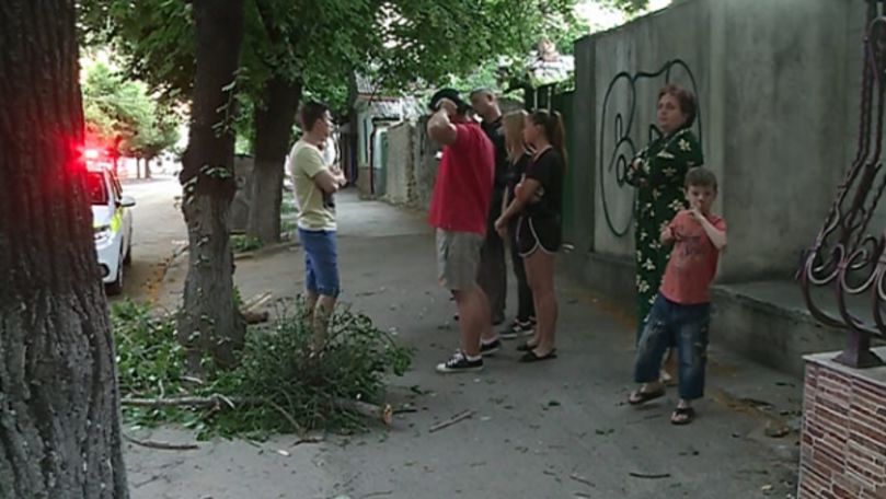 Un copac imens a căzut pe o stradă din centrul Capitalei