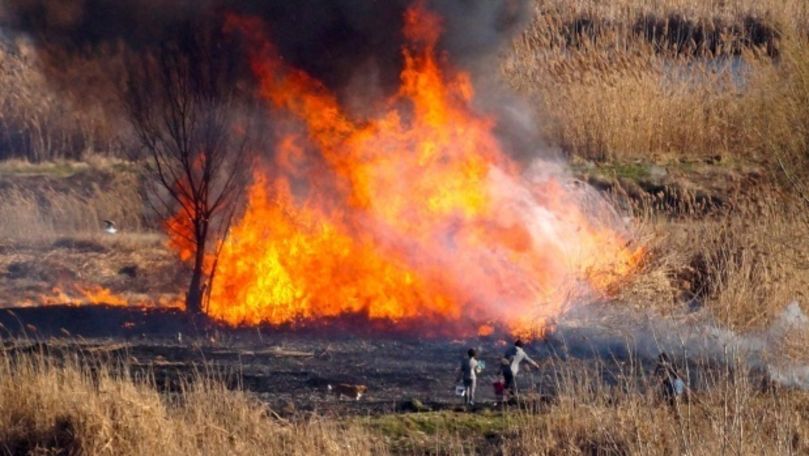 Doi studenți, amendați cu 26 mil. de euro pentru inițierea unui incendiu