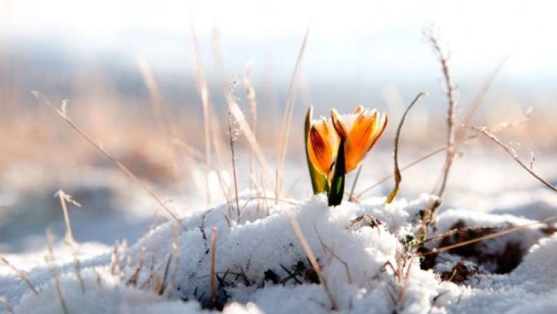Meteo: Temperaturi generoase în primul weekend din februarie