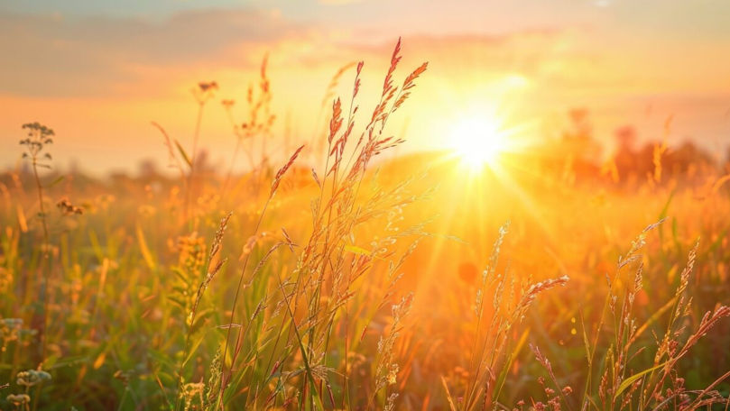Avertizare meteorologică: Cod Galben de caniculă în R. Moldova
