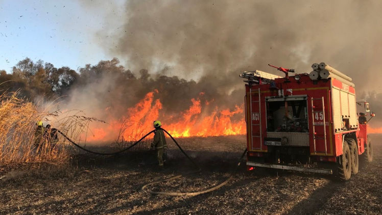 Incendiu în satul Șipca: 73 de hectare și mai multe case au ars
