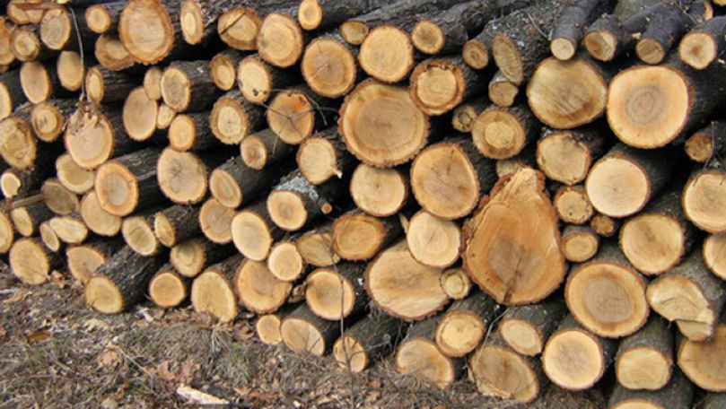 Уязвимые семьи получат дрова для отопления в рамках проекта ЕС.