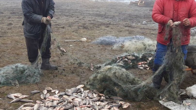 Ghinion pentru 2 bărbați din Cahul, prinși cu 80 kilograme de pește
