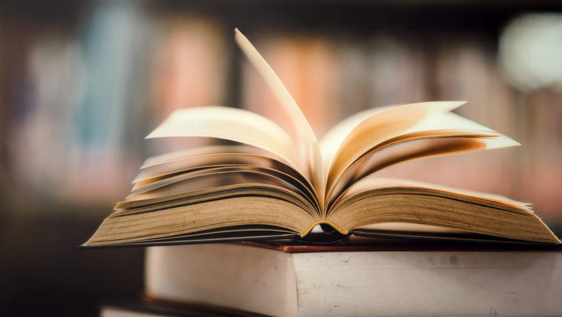 Орфографический словарь пополнился зумерскими словами: «тиктокер», «раф» и «личка».