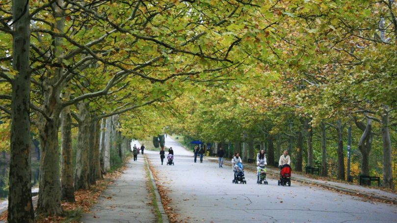 Parcul Valea Trandafirilor va fi iluminat cu 5,4 milioane de lei