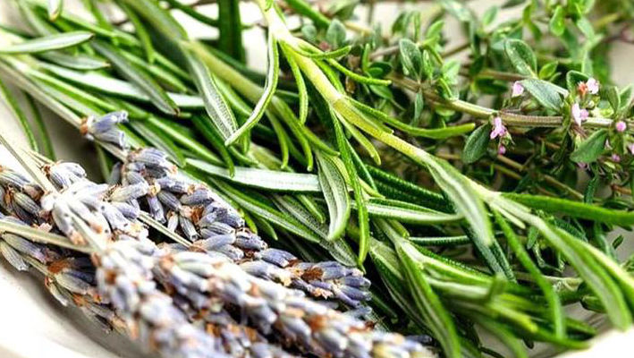 Plante și remedii naturiste care țin la distanță insectele