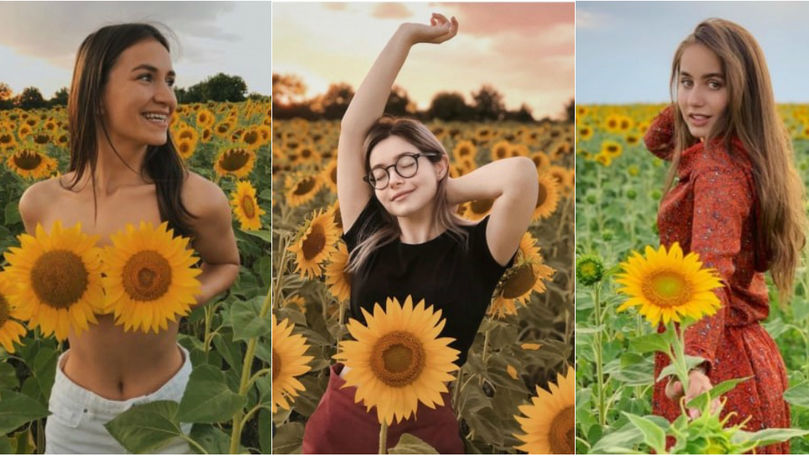 Lanurile de floarea-soarelui, cucerite pe Instagramurile moldovencelor
