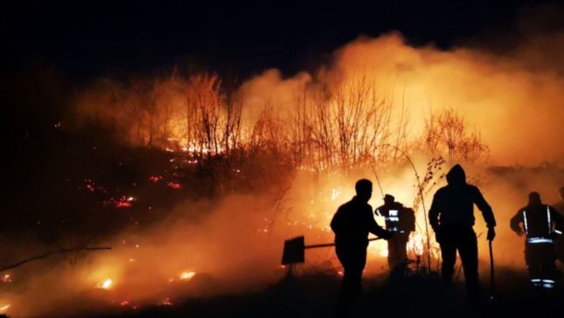 Alertă la Căușeni și Ștefan Vodă: Incendii de vegetație în sate