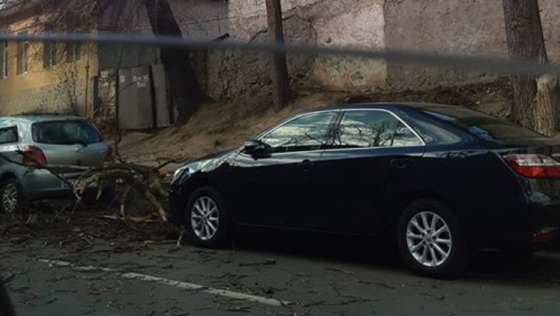 Ghinion pentru 2 şoferi care și-au parcat mașinile în Chișinău