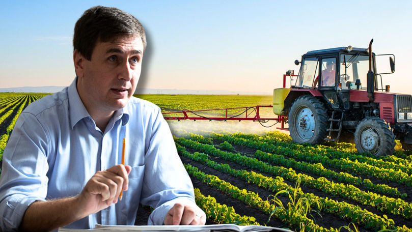 Producția agricolă din țară a scăzut cu 15% în 2024. Soluția unui expert