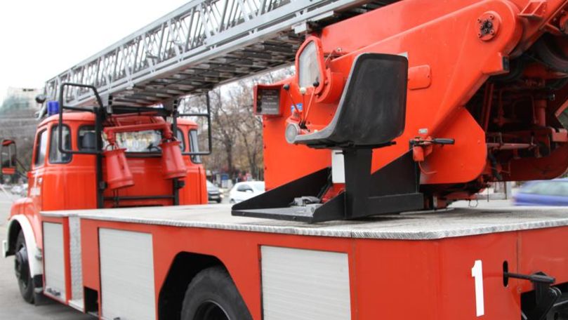 Pompierii au salvat 5 pisici blocați într-un subsol din Chișinău
