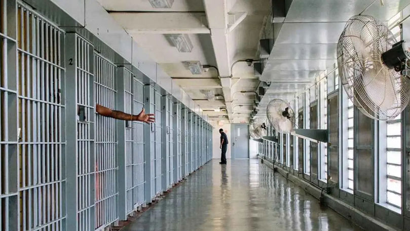 В США отменили мораторий на федеральные смертные казни.