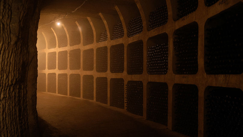 Mileștii Mici: Vinăria-record unde alergarea devine experiență Ⓟ