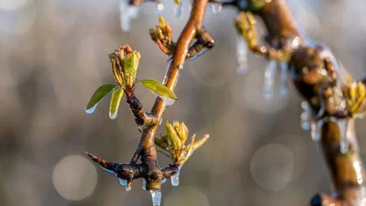 Avertizare meteo: Cod Galben de înghețuri în Moldova