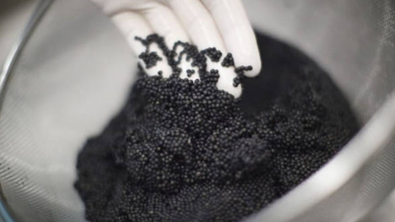 Rusia a depistat caviar falsificat provenit din Transnistria