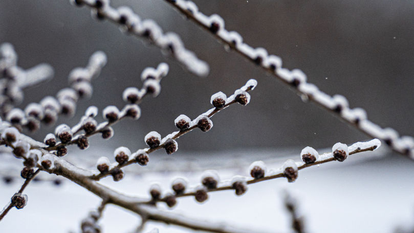 Meteo 25 ianuarie 2023: Vremea se răcește. Minime de până la -5°C