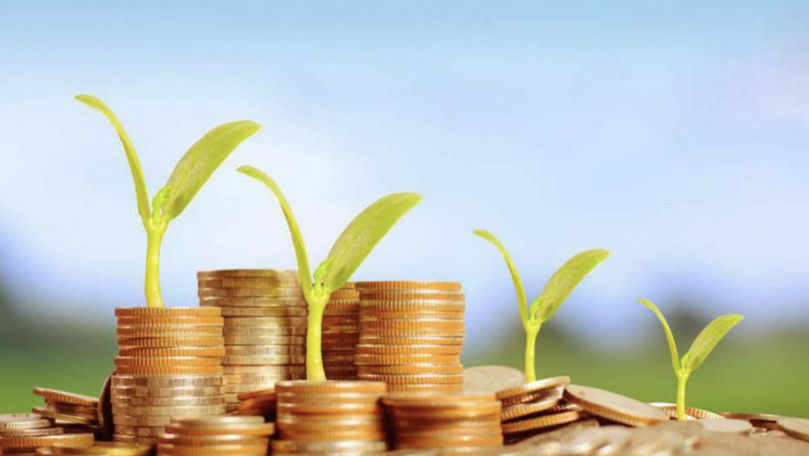 AIPA a autorizat spre plată 52,55 milioane de lei pentru fermieri