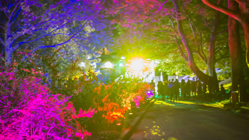 Aleea Colorată din parcul Valea Trandafirilor, vandalizată