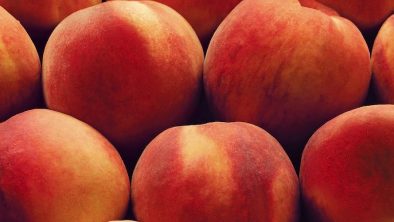 Испания является вторым после США крупнейшим экспортёром фруктов в мире.