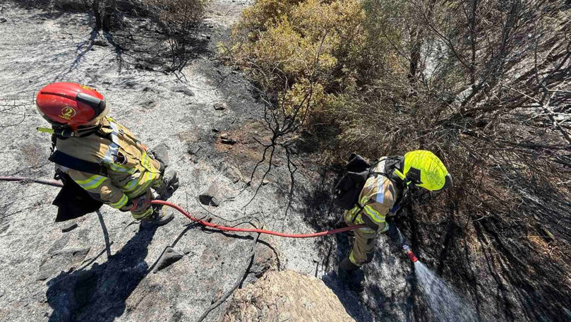 Incendiu de 20 de hectare, lichidat de pompierii moldoveni în Grecia