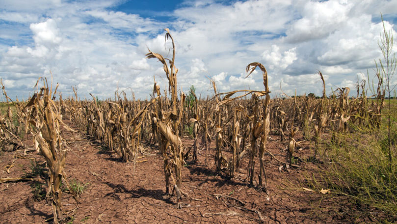 Fermierii, îndemnați să adapteze producția la schimbările climatice