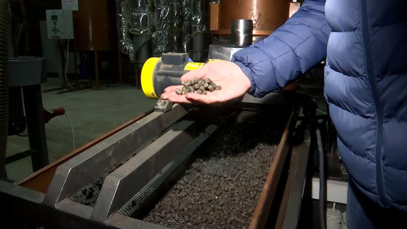 Coji de semințe de floarea-soarelui, soluție după scumpirea gazelor