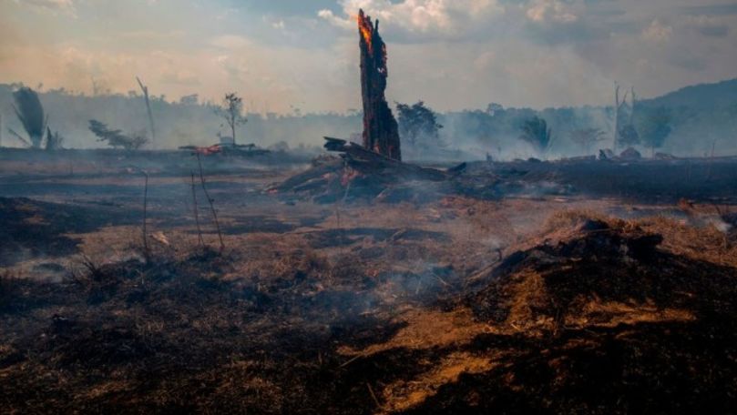 Imaginea președintelui Braziliei, afectată de incendiile din Amazon