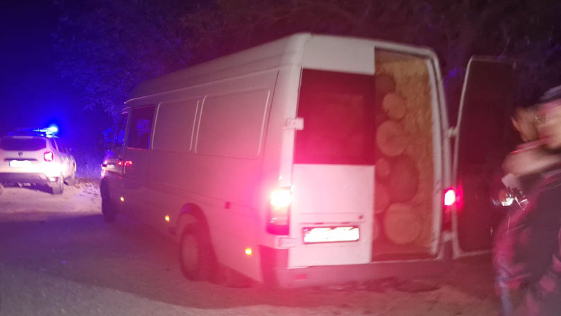 Două scheme de transport ilegal de lemn în raionul Leova, destructurate