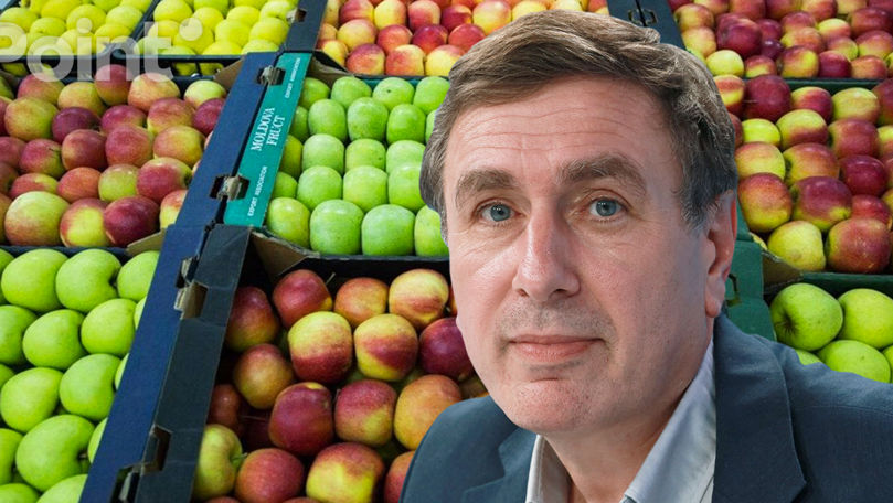 Ионицэ: Молдова значительно диверсифицировала рынок экспорта своих фруктов.