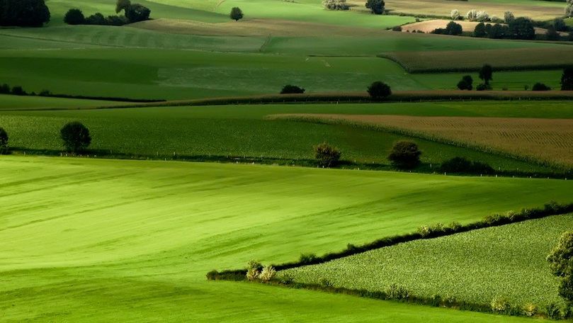 Un procent din terenurile agricole, folosite pentru agricultura ECO