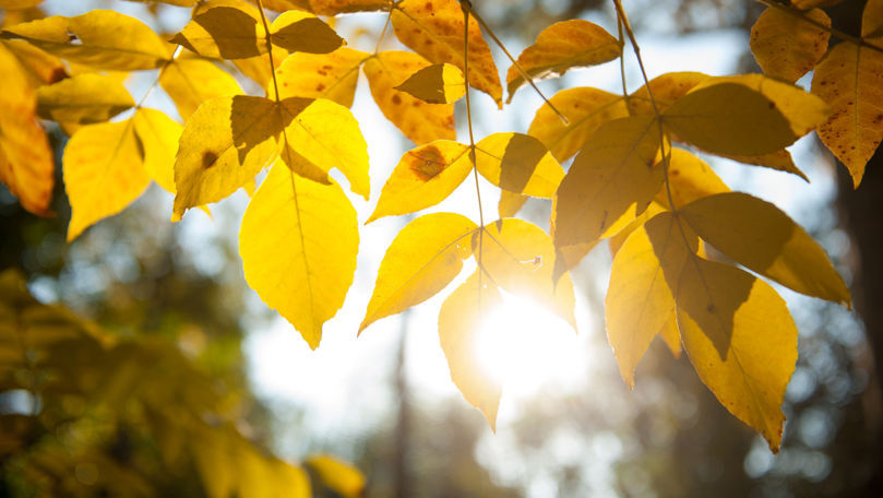 Perspectiva meteorologică pentru luna octombrie, în Republica Moldova