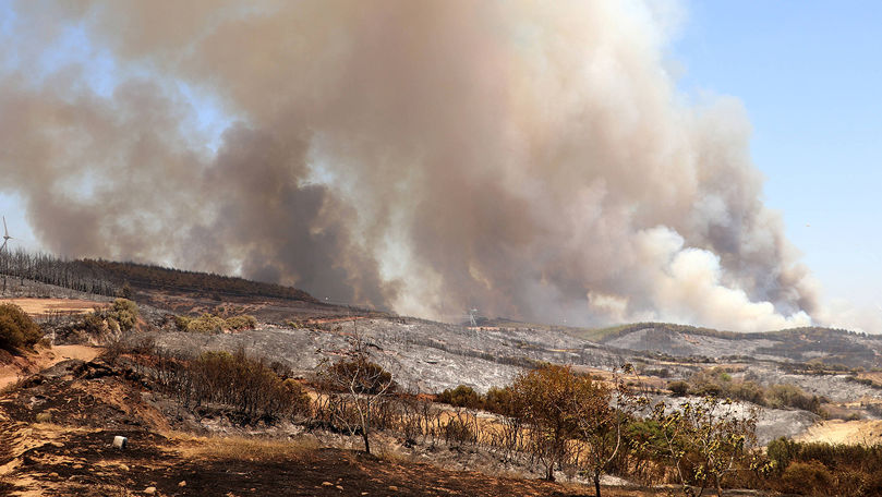В Турции из-за лесных пожаров задержали более двух десятков человек.