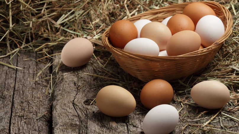 Activitatea agricolă în ianuarie-martie. Producția de ouă s-a majorat