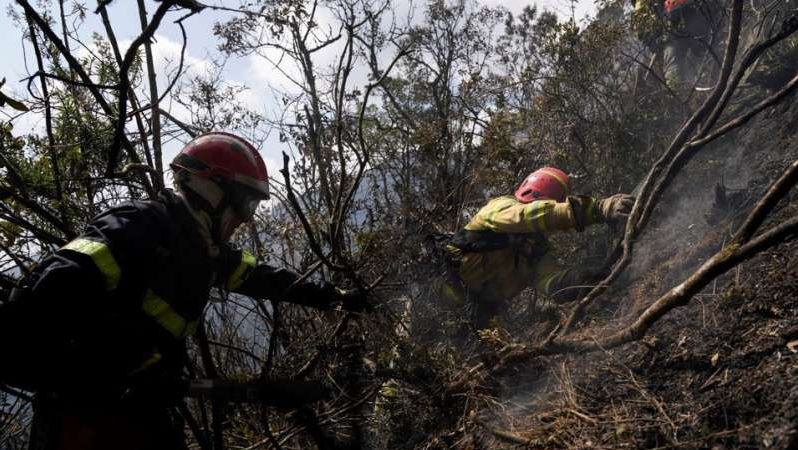Incendii de vegetaţie şi penurie de apă: Ecuador anunță stare de urgență