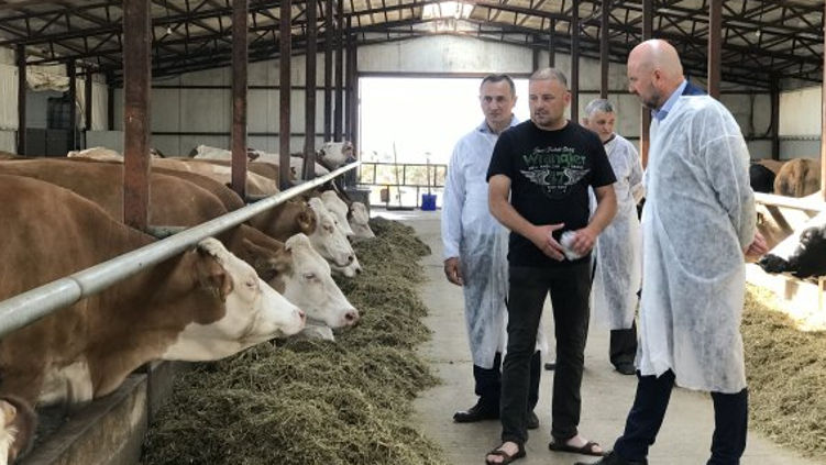 Животноводческий сектор и семейные фермы будут поддерживаться государством.