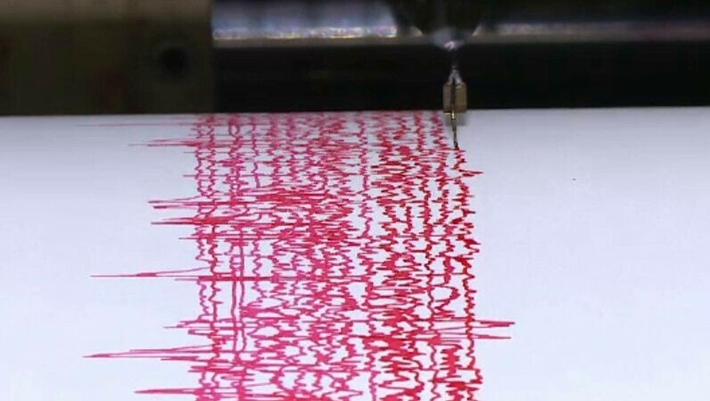 Cutremure produse noaptea trecută în două județe din România