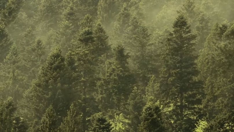 Fenomenul care are loc o singură dată pe an, filmat în România