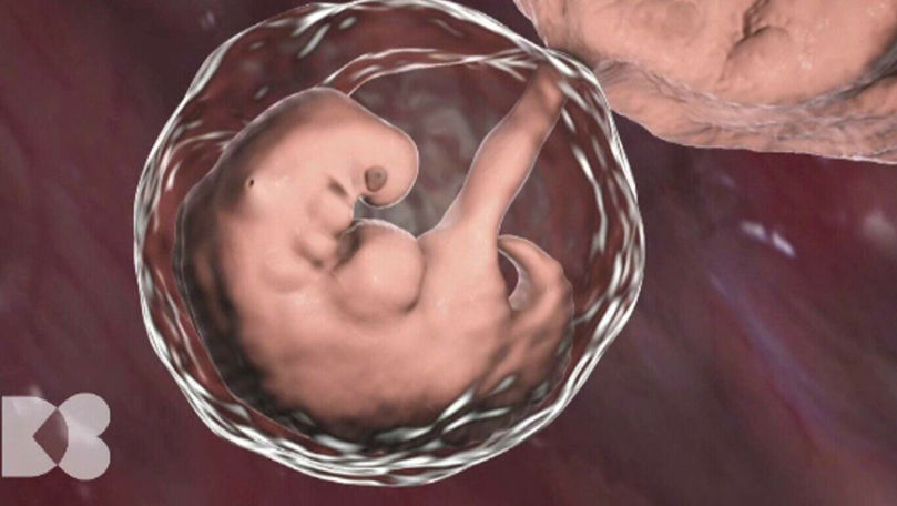 Celulele reproducătoare feminine sunt mai afectate de trecerea timpului