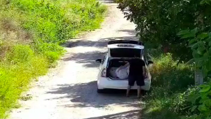 Taximetrist, filmat cum aruncă saci de gunoi într-o pădure din Chișinău
