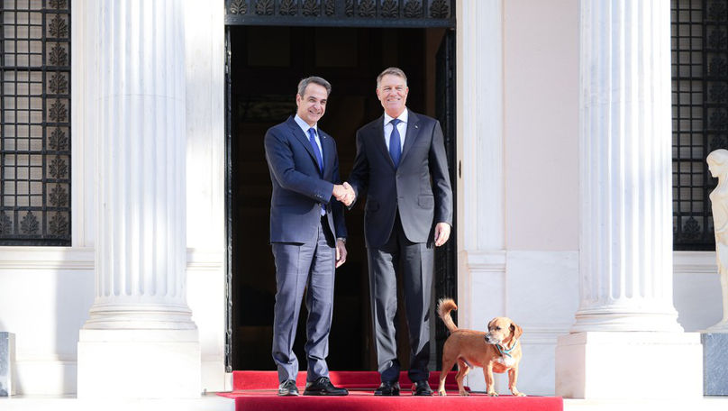 Câinele premierului grec, în întâmpinarea preşedintelui Klaus Iohannis