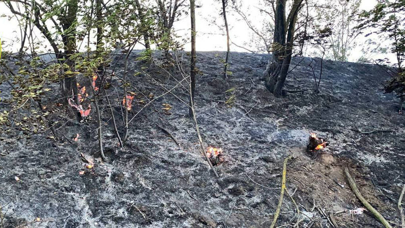 Incendiu de vegetație în stânga Nistrului: Cineva nu și-a stins țigara