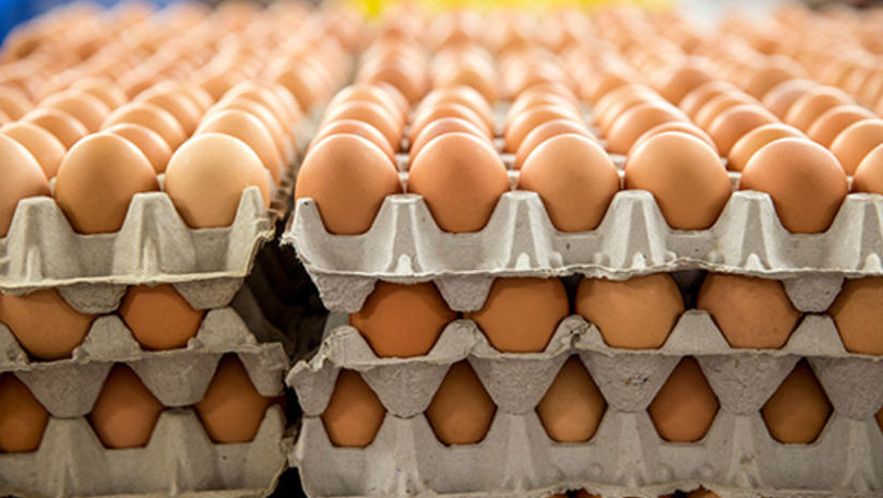 Ouăle s-au ieftinit. Cum au evoluat prețurile la carne și legume