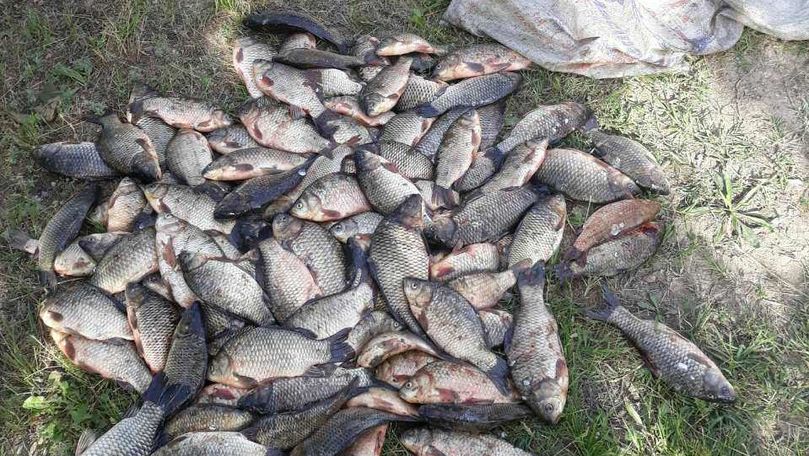 Pescuit ilegal: Doi braconieri, reținuți cu 50 kg de pește lângă lac
