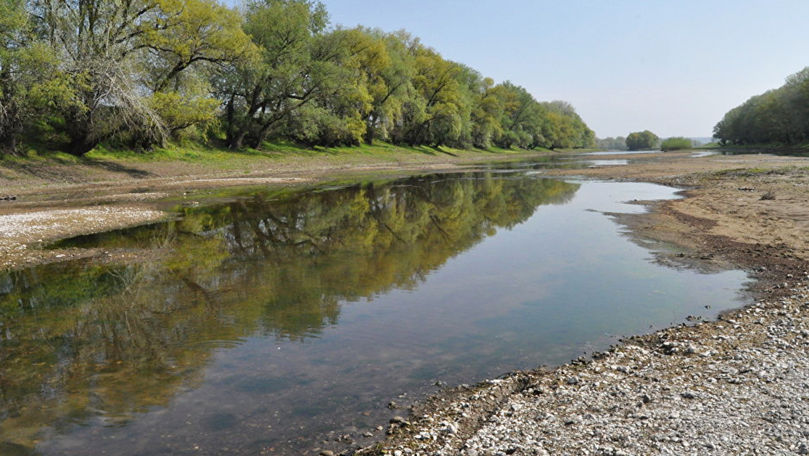 Экологи бьют тревогу по поводу воды в Днестре.