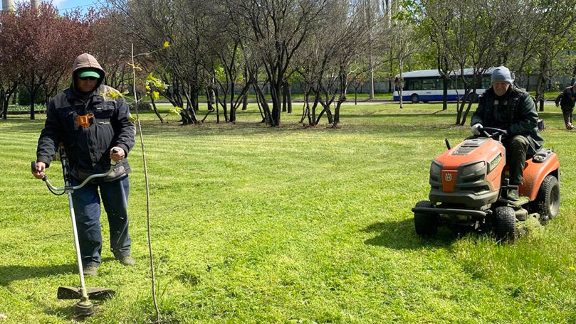 В Кишинёве парки начали обрабатывать против клещей.