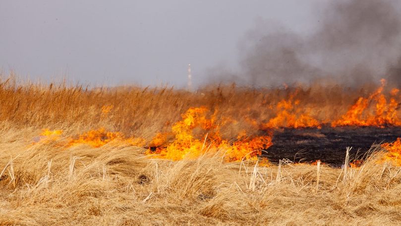 ГИЧС предупреждает об опасности пожаров на полях.